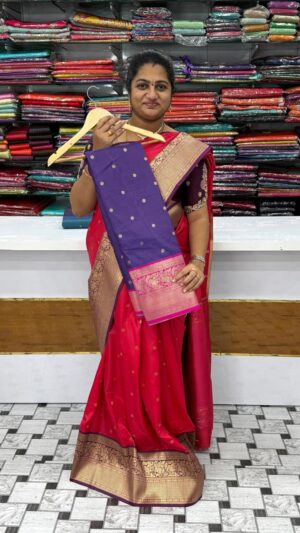 Fancy Pattu Sarees