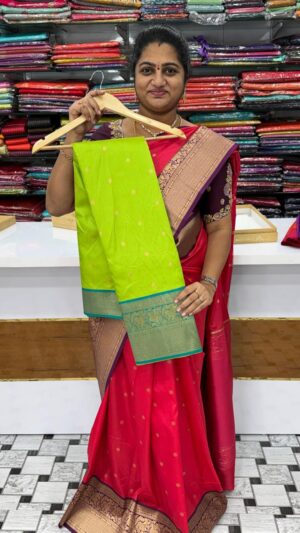 Fancy Pattu Sarees