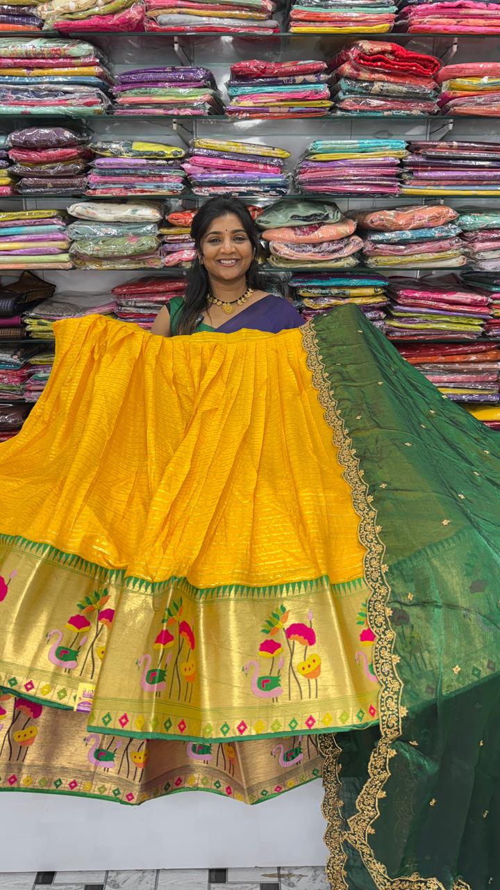 Viscose Georgette Paithani Border Half Saree