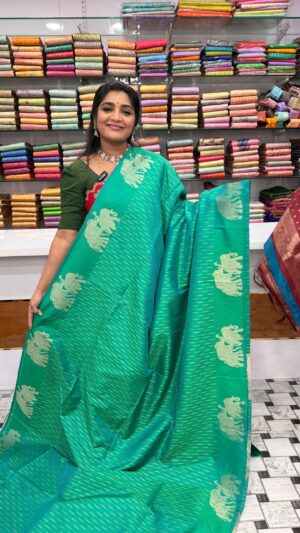 Half pattu saree