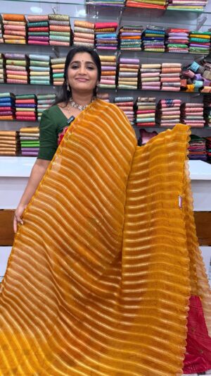 Fancy saree