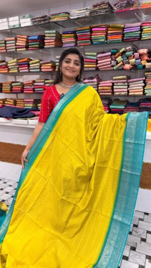Fancy saree